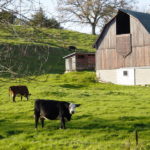 farm-in-lanesboro-minnesota-1543222 (1)