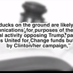 a-ducks-illegal-campaign-expenditures