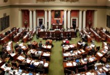 MN Republicans Pick New Leaders