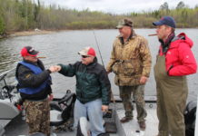 Mark Dayton, Kurt Daudt