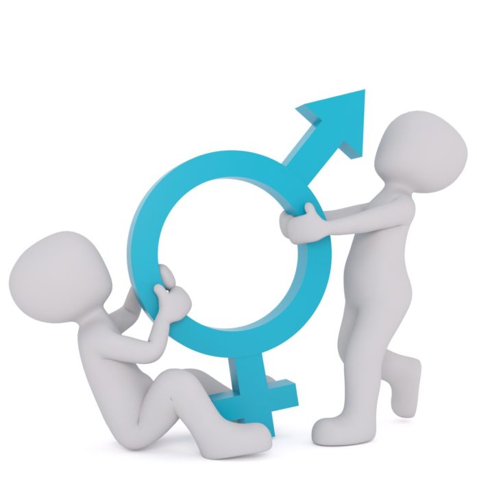 gender, transgender, gender toolkit,