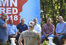 congressional, MNGOP, state fair, congress, candidates, 2018