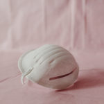 Duluth, Minnetonka, and Excelsior All Mandate Masks Photo by Canva Photos Team