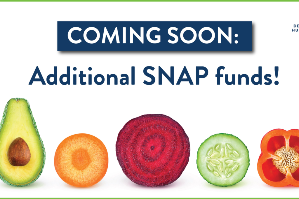 Minnesota SNAP rolls increased by 36 million in COVID19 pandemic