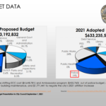 Budget data 1