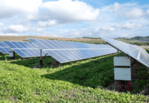 Gutknecht: Where there is no transmission the power will perish