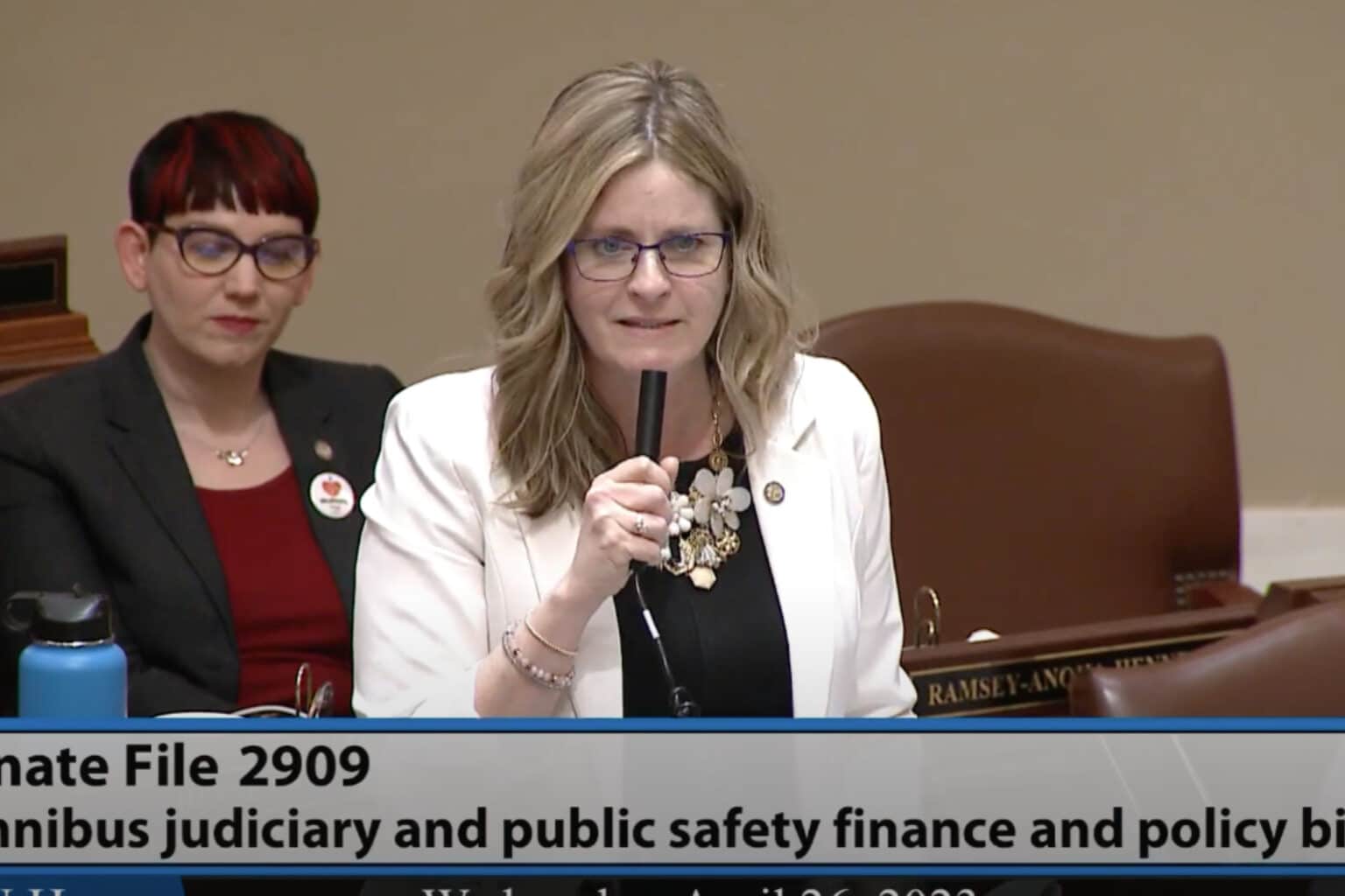 House passes red-flag, universal background check proposals | Alpha News MN