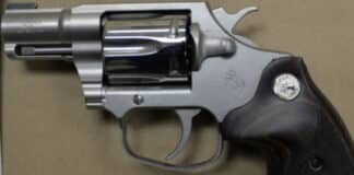 gun