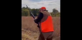 shotgun