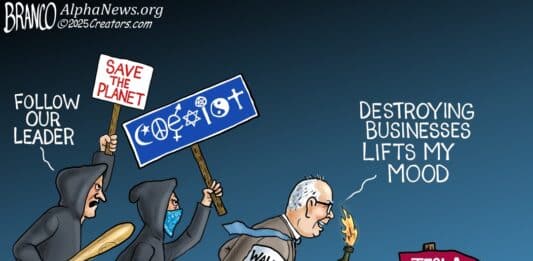 Cartoon
