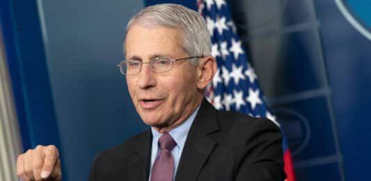 fauci