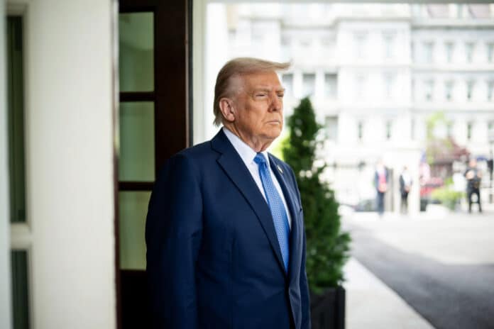 donaldtrump-1 egg