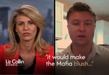 Minnesota legislator now running for state auditor to help fight fraud Liz Collin Reports