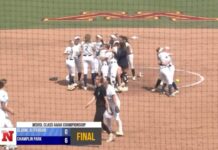 Feds say Minnesota violated Title IX by allowing males to compete in female sports