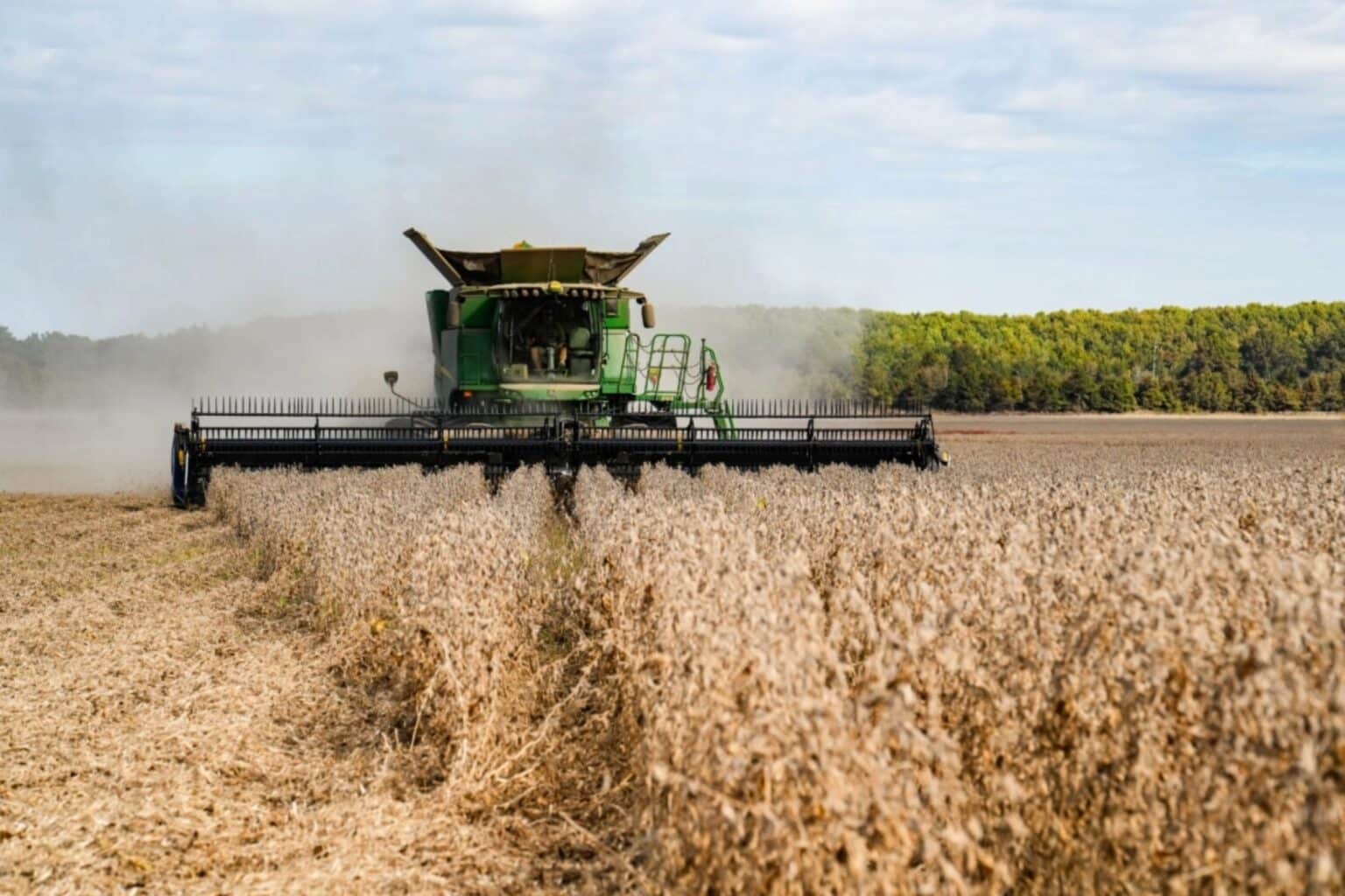 China agrees to buy 25 million metric tons of US soybeans per year ...