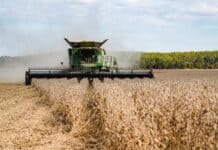 China agrees to buy 25 million metric tons of US soybeans per year, Bessent says