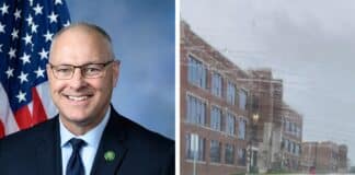 Stauber renews call for delisting gray wolf after sighting on Ely school grounds