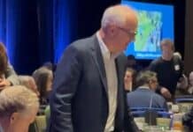 As federal probe widens, Gov. Walz tells Seattle crowd he’ll welcome more Somalis Tim Walz