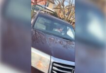 BREAKING: Alpha News obtains new footage of ICE-involved shooting in Minneapolis