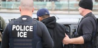Feds arrest ‘serial immigration fraudster’ who worked as Minnesota corrections officer ICE