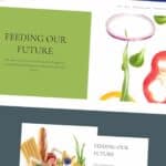 Three more defendants sentenced in Feeding Our Future scheme