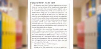 Blaine High School English course book list full of inappropriate titles, parent says