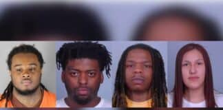 Seven sentenced for trafficking thousands of fentanyl pills into Minnesota