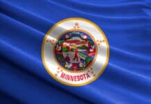 Minnesota state flag