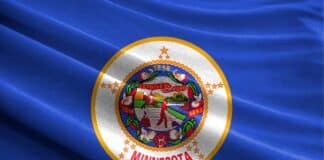 Minnesota state flag