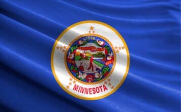 Minnesota state flag