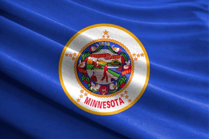 Minnesota state flag