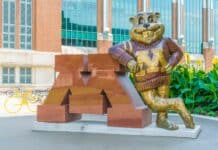 University of Minnesota