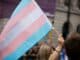 transgender flag