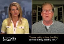 Liz Collin Reports