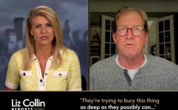 Liz Collin Reports