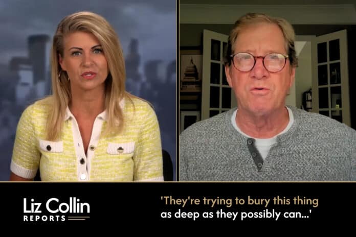 Liz Collin Reports