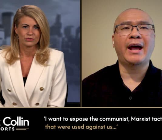 Liz Collin Reports