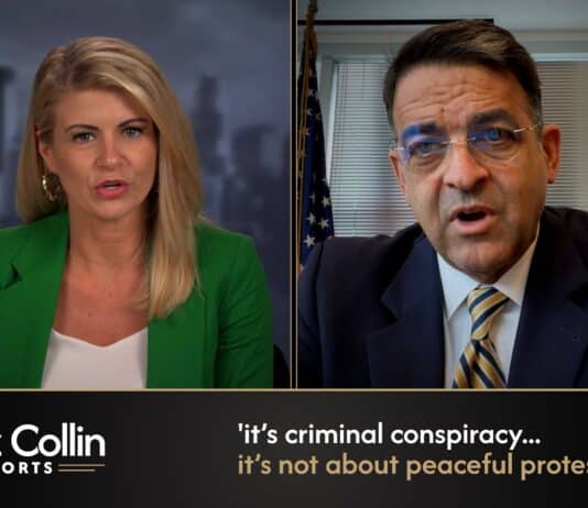 Liz Collin Reports