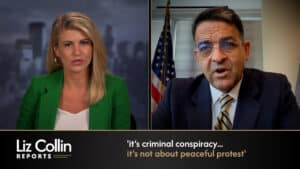 Liz Collin Reports