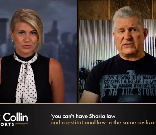 Liz Collin Reports