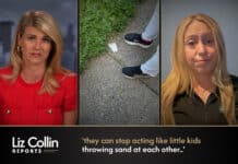 Liz Collin Reports