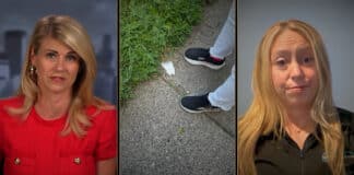 Liz Collin Reports
