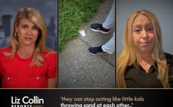 Liz Collin Reports