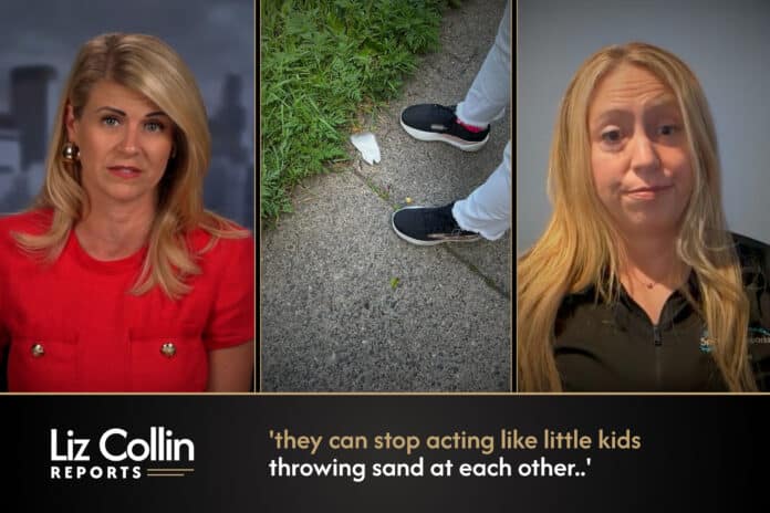 Liz Collin Reports