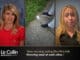 Liz Collin Reports