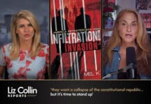 Liz Collin Reports