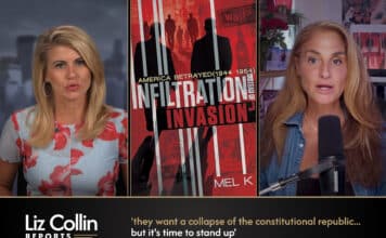 Liz Collin Reports
