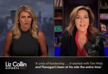 Liz Collin Reports