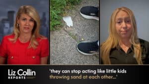 Liz Collin Reports