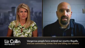 Liz Collin Reports